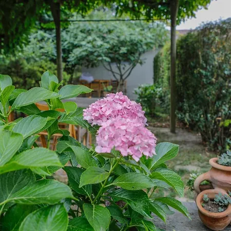 Il Germano Reale Alba (Piedmont)
