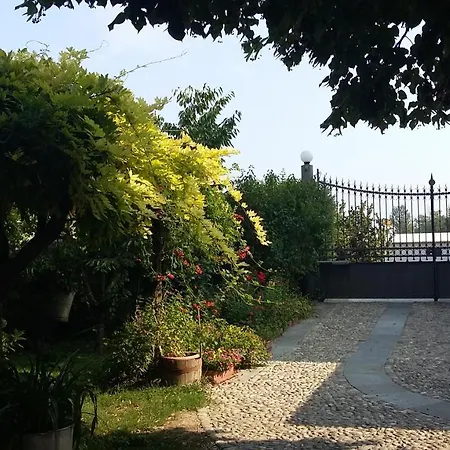 Il Germano Reale 2*