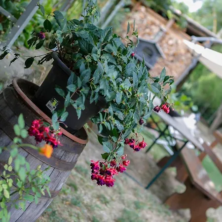 Il Germano Reale Bed & Breakfast