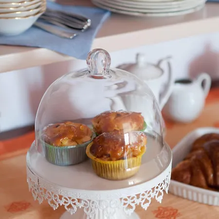 Il Germano Reale Bed & Breakfast Alba (Piedmont)