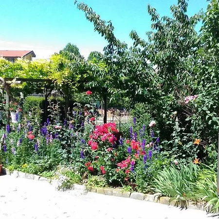 Il Germano Reale Couette-café