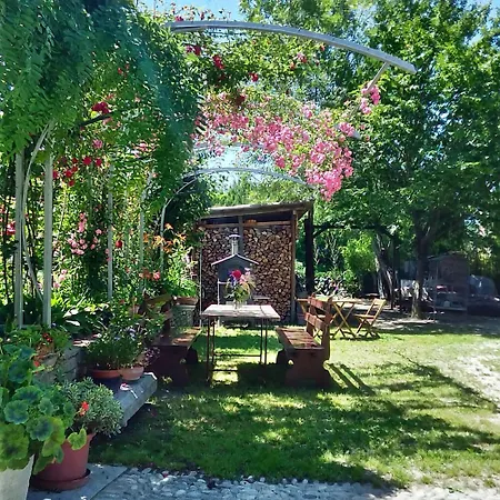 Il Germano Reale Alba (Piedmont)