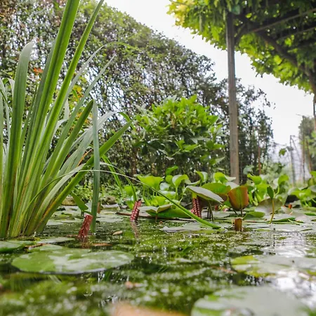 Bed & Breakfast Il Germano Reale