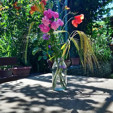 Il Germano Reale Bed & Breakfast Alba (Piedmont)