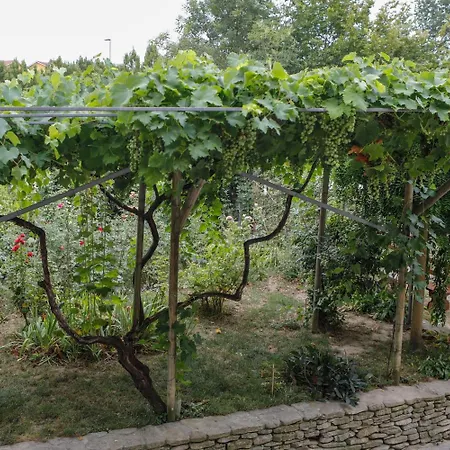 Il Germano Reale Bed & Breakfast 3*