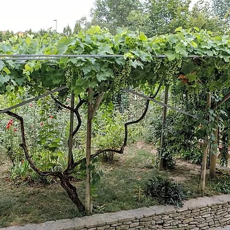 Il Germano Reale 3* 阿尔巴