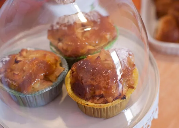 Bed & Breakfast Il Germano Reale Alba (Piedmont)