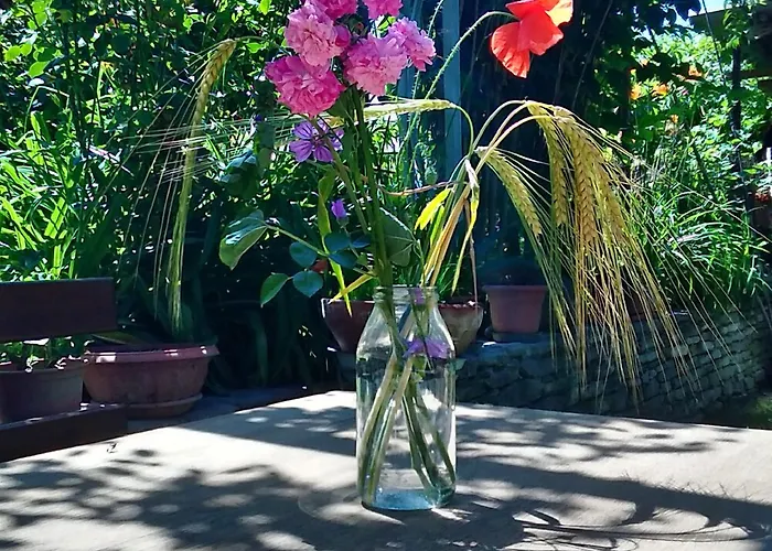 Il Germano Reale Bed & Breakfast Alba (Piedmont)